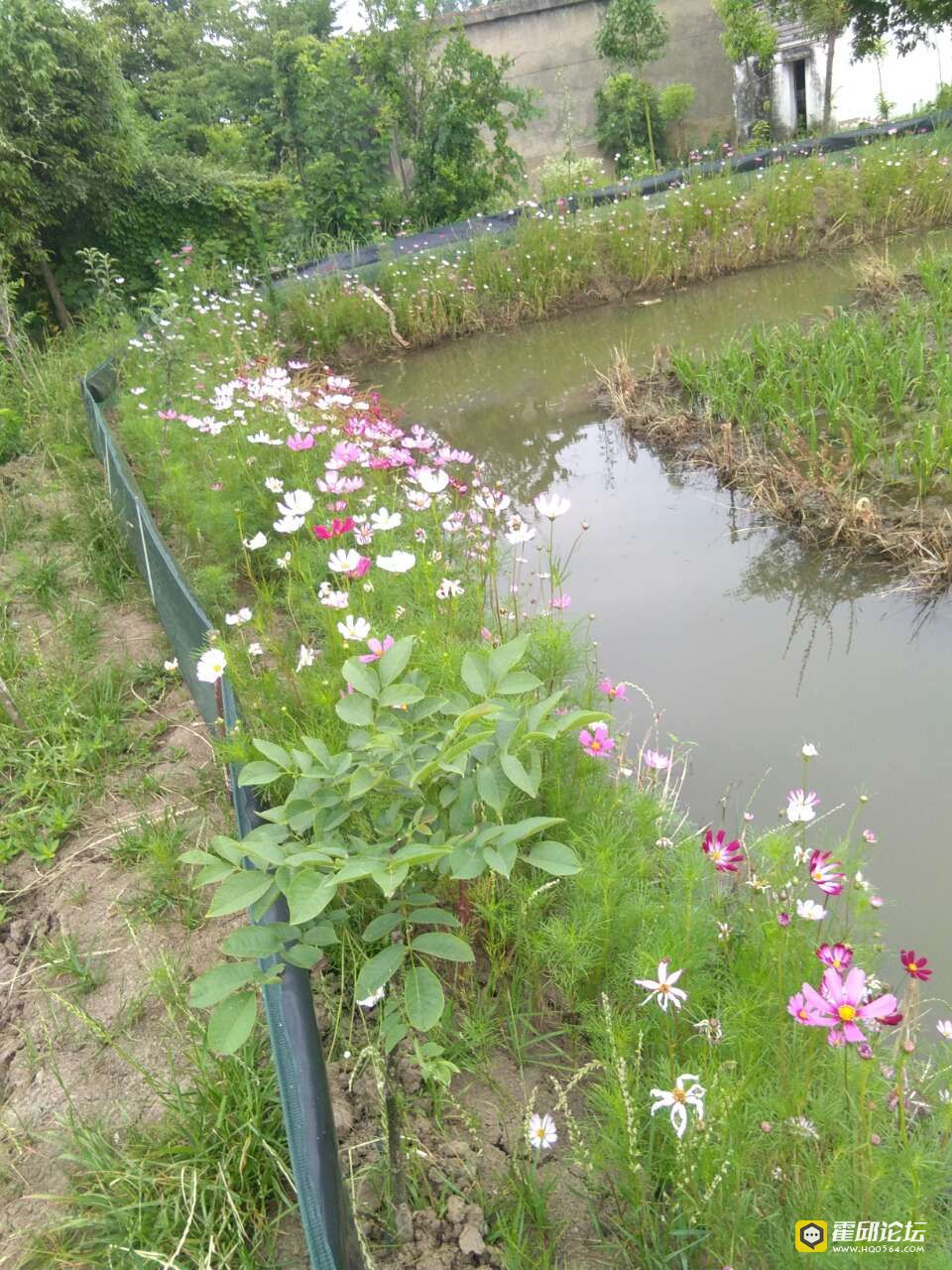 20190613_193478_1560417613305.jpg
