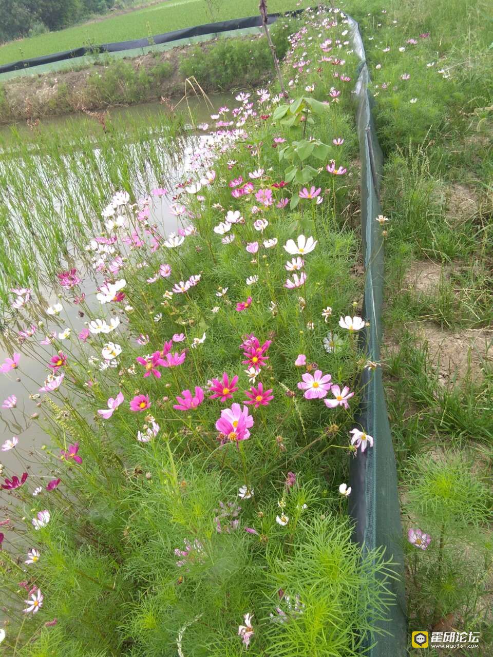 20190613_193478_1560417613825.jpg