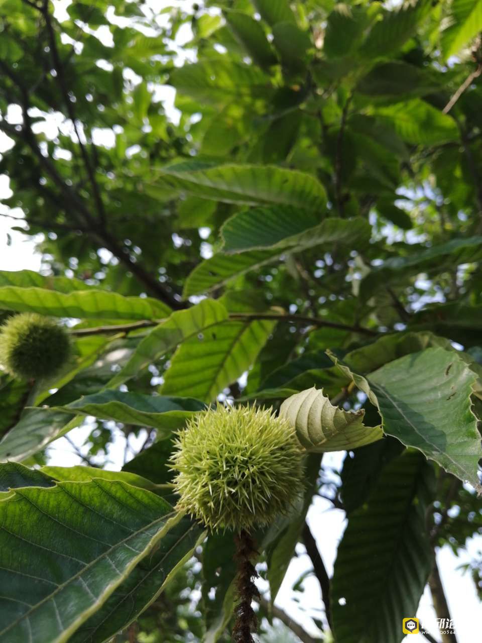20190722_193522_1563792490001.jpg
