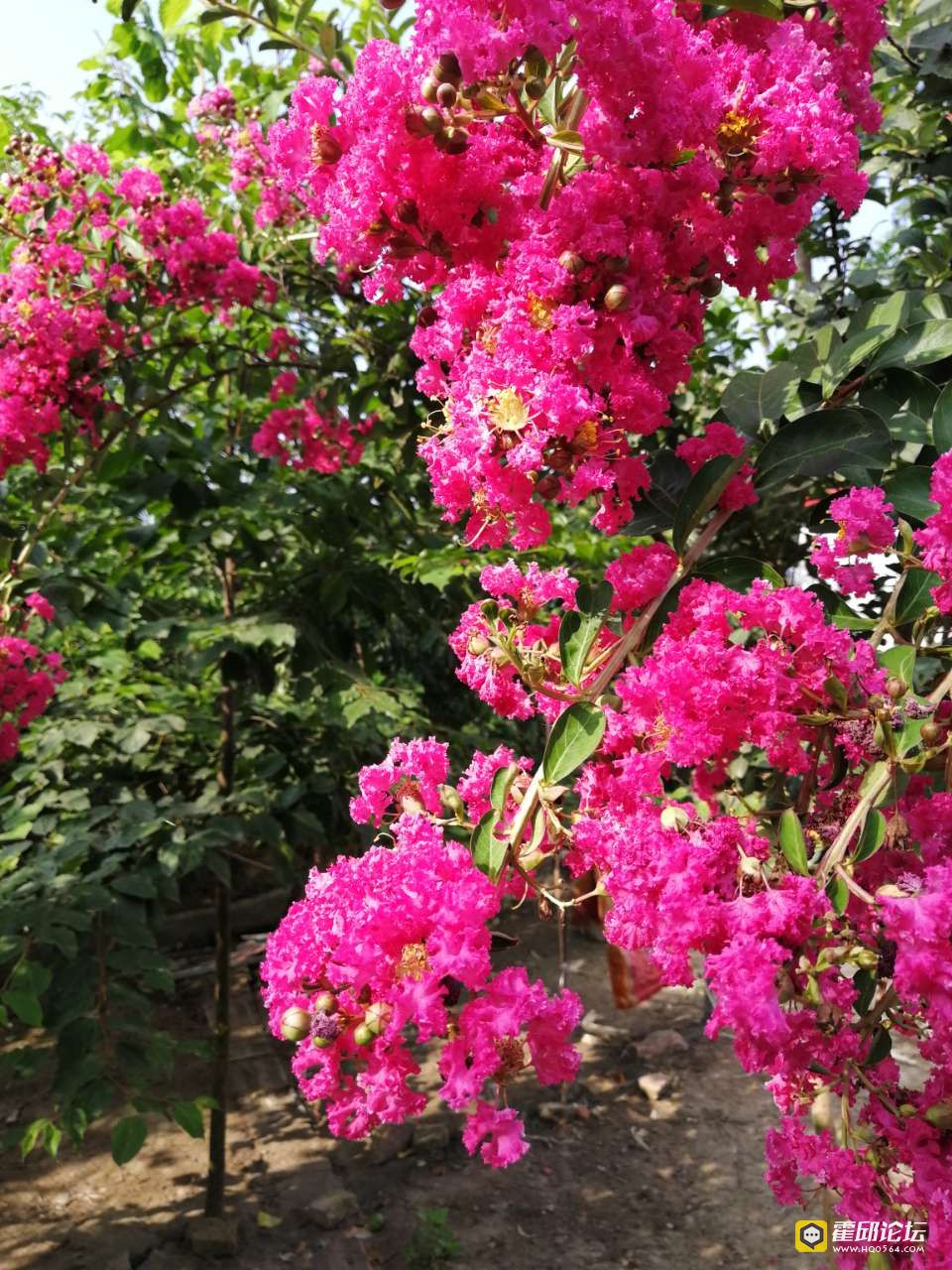 20190722_193522_1563792491248.jpg