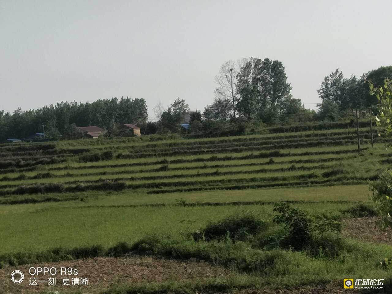 20190803_196207_1564814268915.jpg