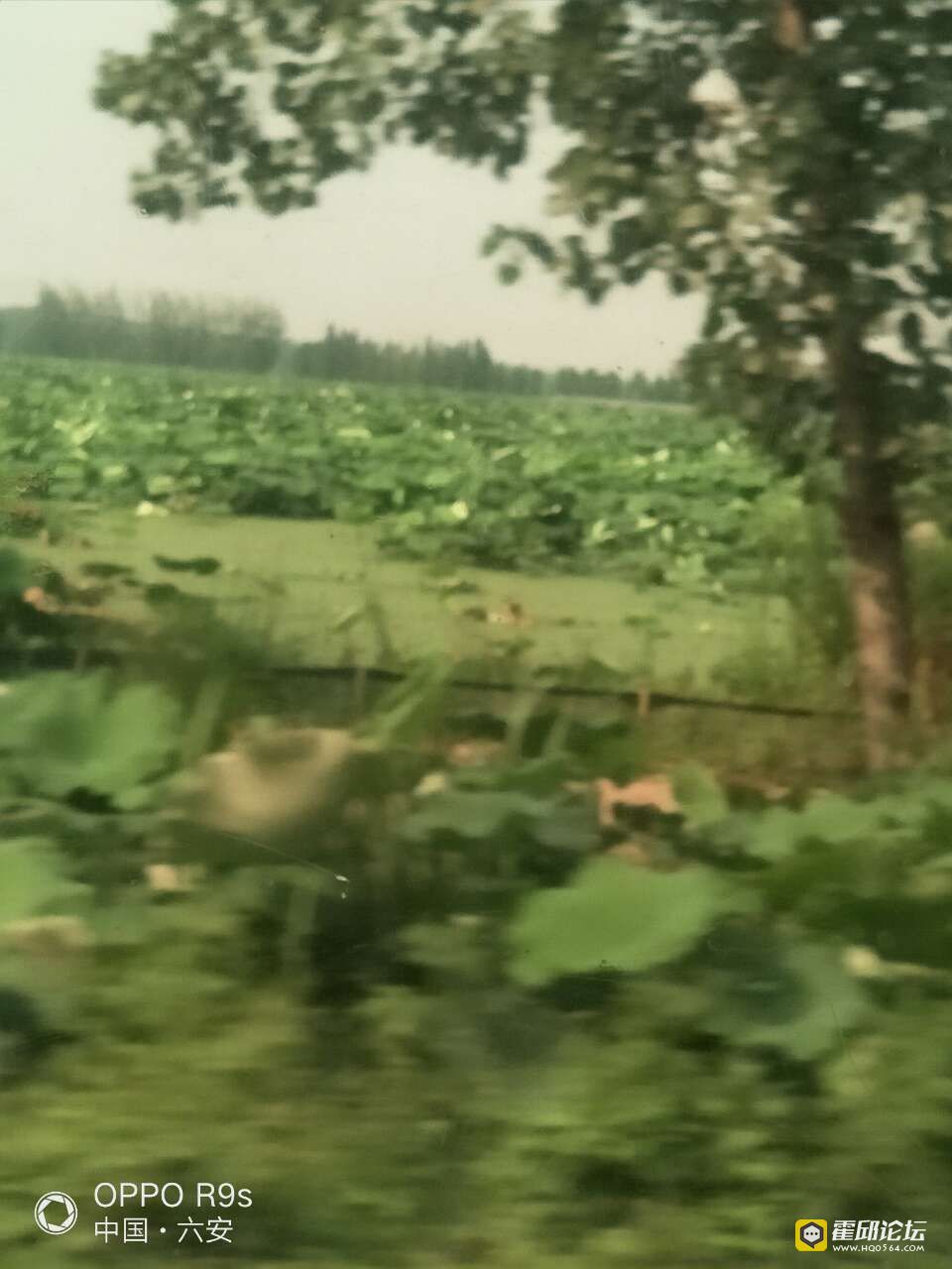 20190803_196207_1564814268260.jpg