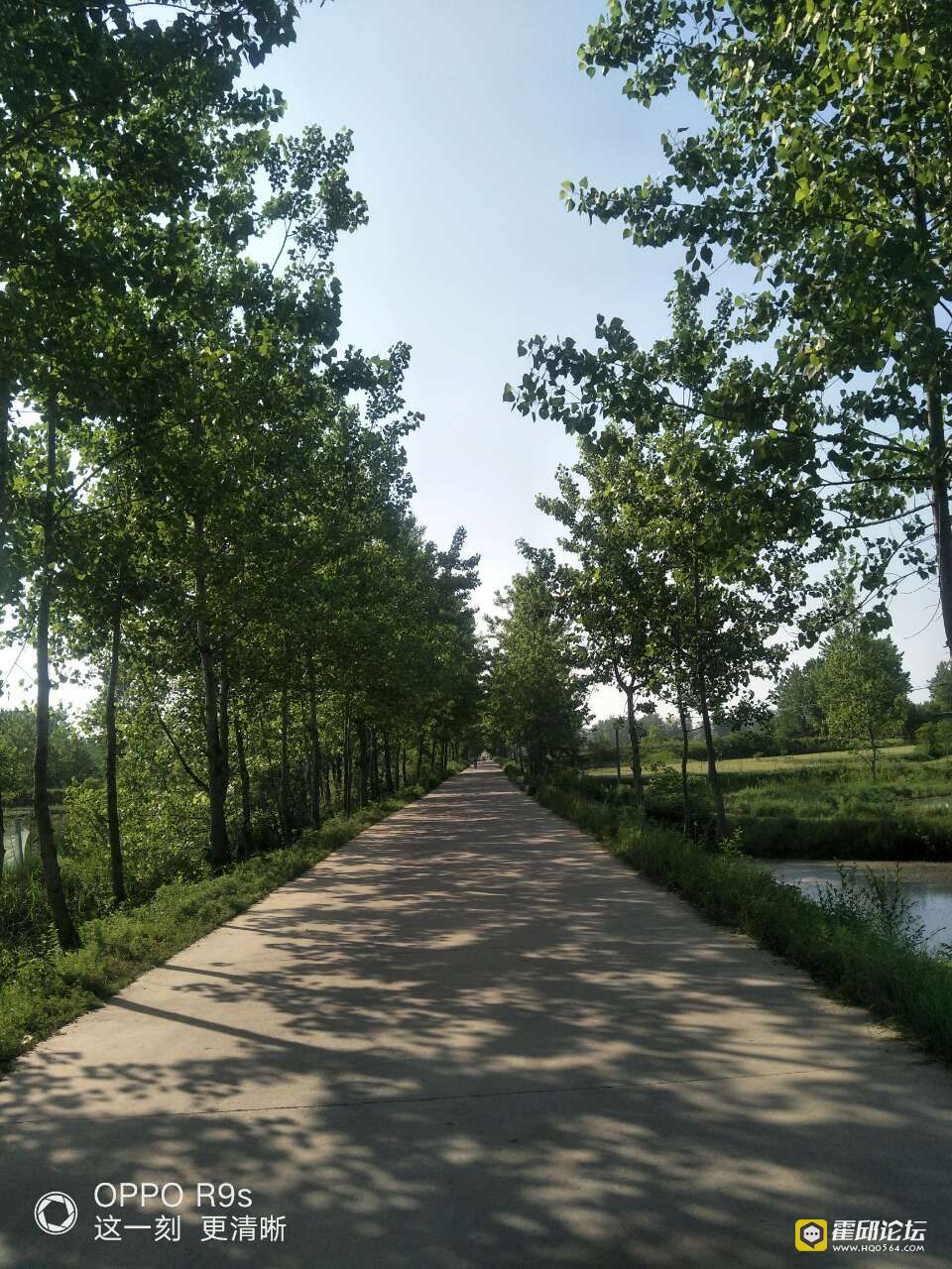 20190803_196207_1564814269242.jpg