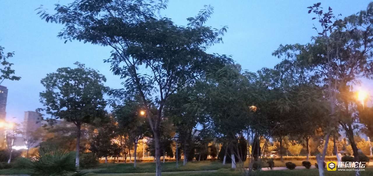 20190806_194575_1565074394467.jpg