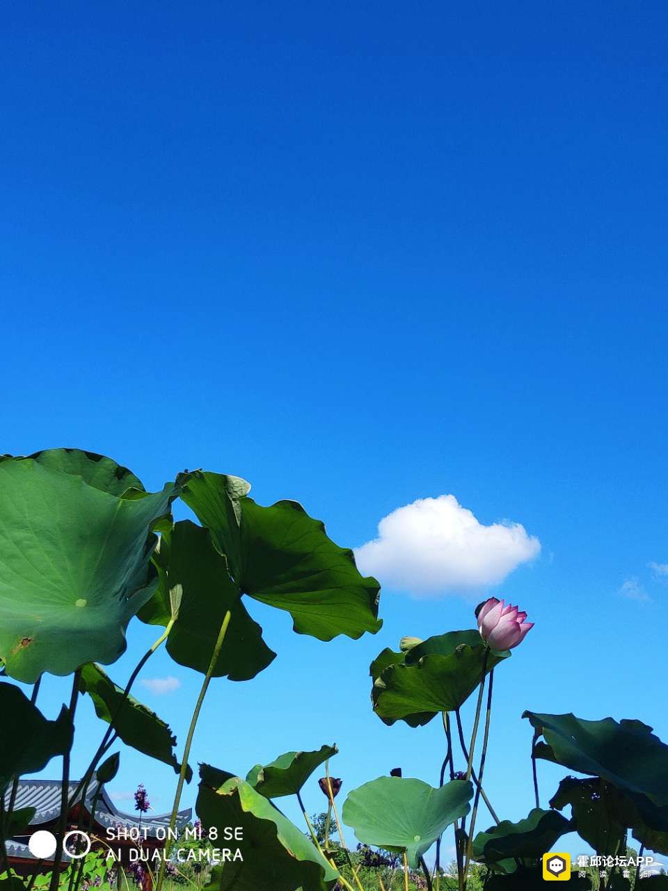 20190915_196920_1568556991129.jpg