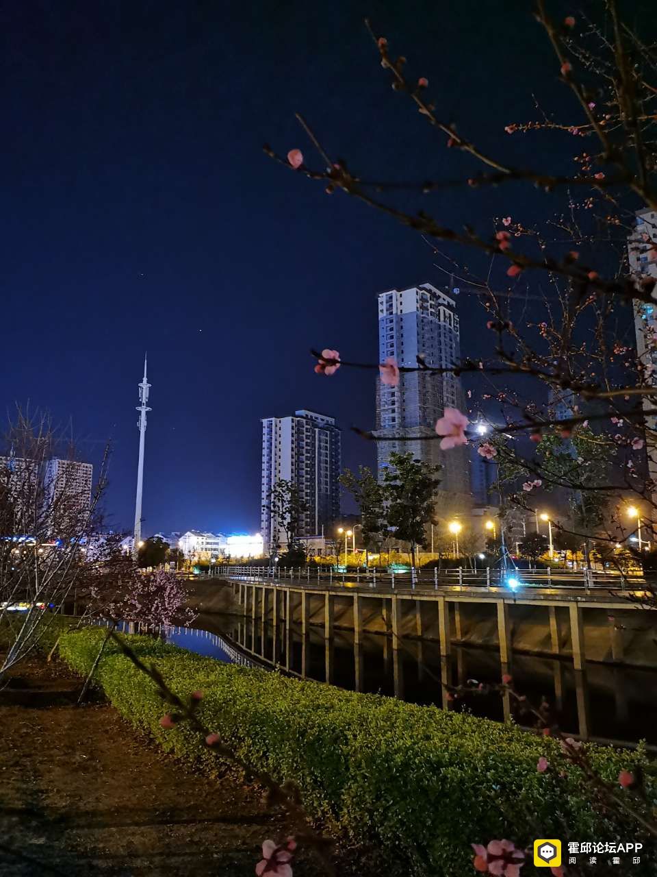 20200318_199874_1584499823210.jpg