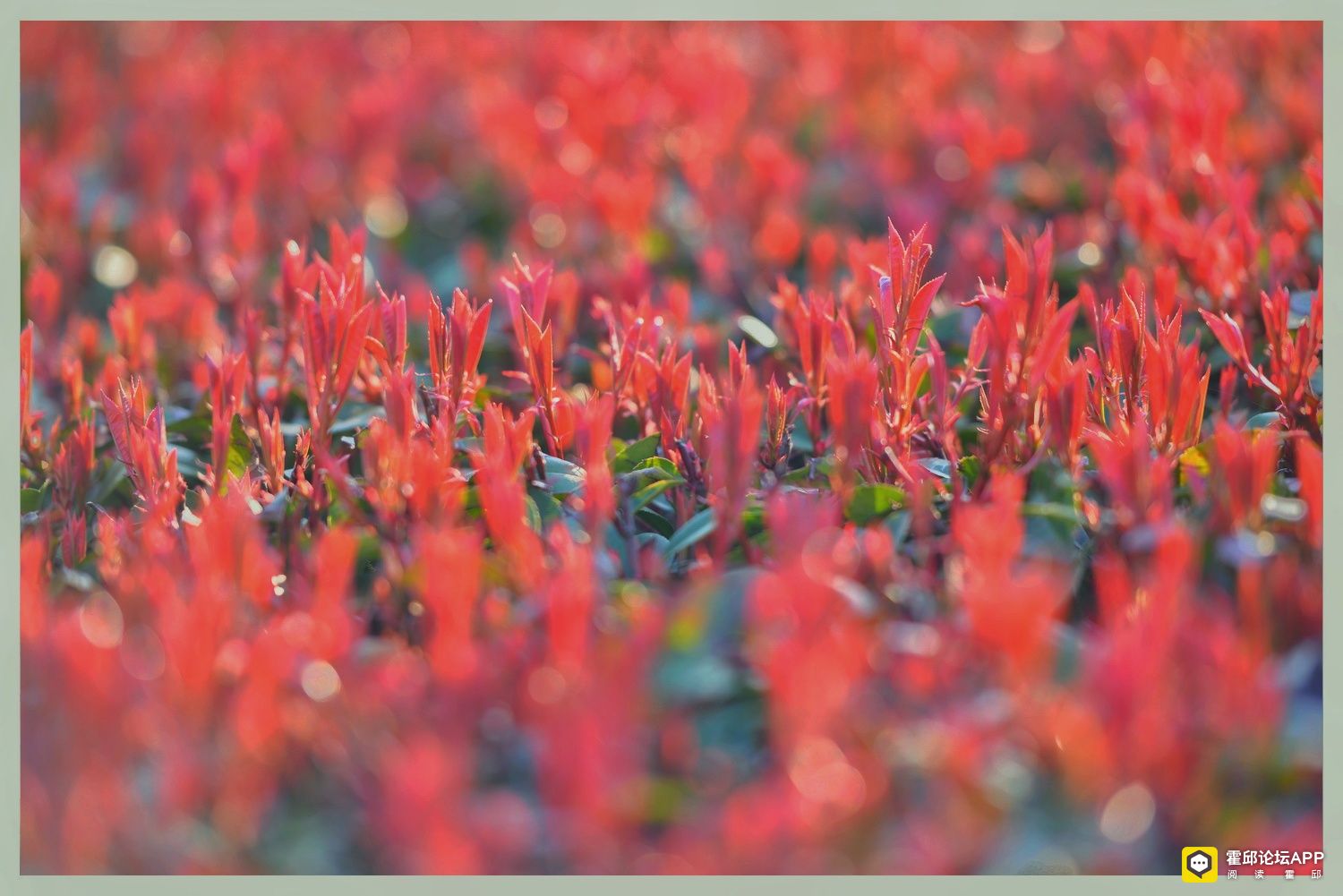 DSC_7240-01.jpeg