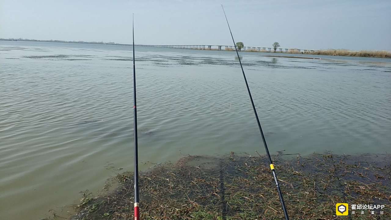 20200410_200975_1586522461349.jpg