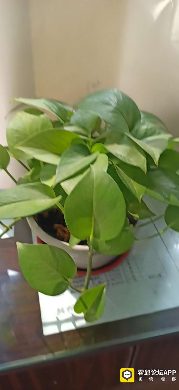 20201108_198175_1604800612984.jpg