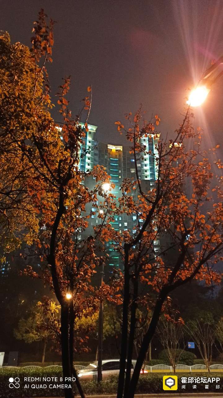 20201214_198175_1607915517444.jpg