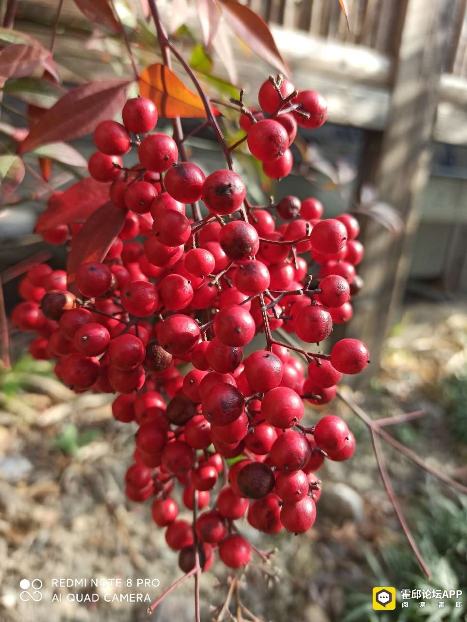 20210224_198175_1614134185432.jpg