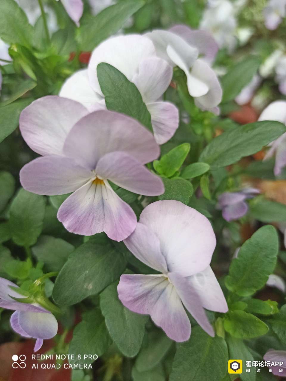 20210405_198175_1617588944059.jpg