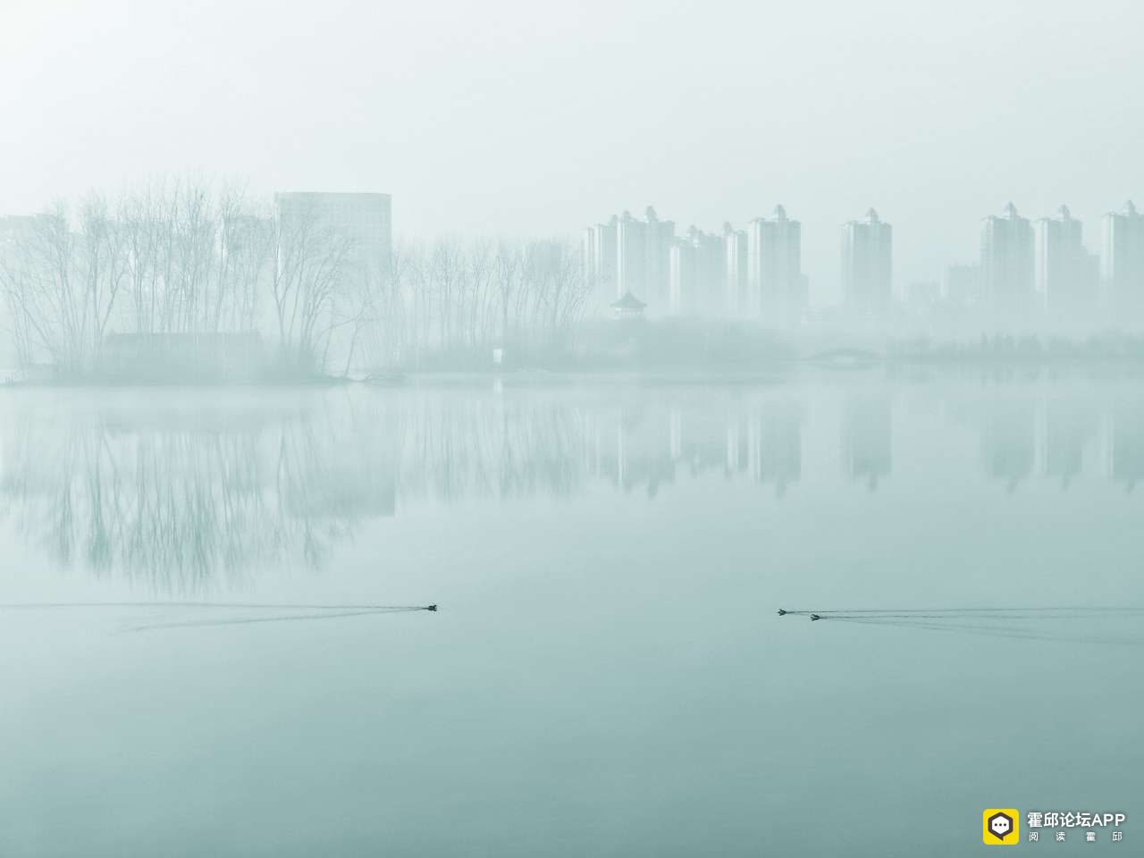 20211225111326front2_0_198706_FlqxP-r1G04DlYa_xUiyKN_KA3P6.jpg