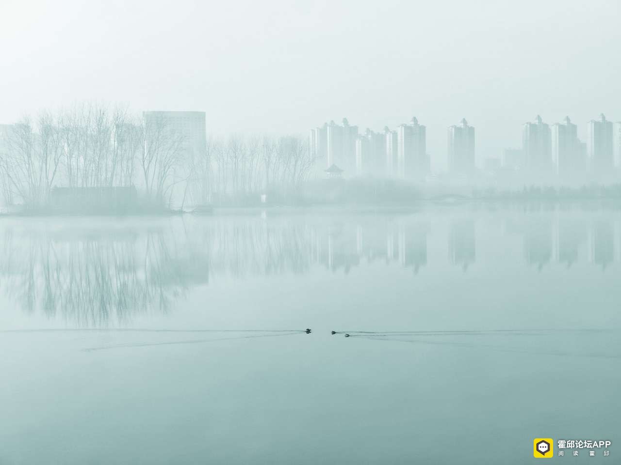 20211225111328front2_0_198706_FpY0IsBlhH44C9Agzrz_XdLaFB5Z.jpg