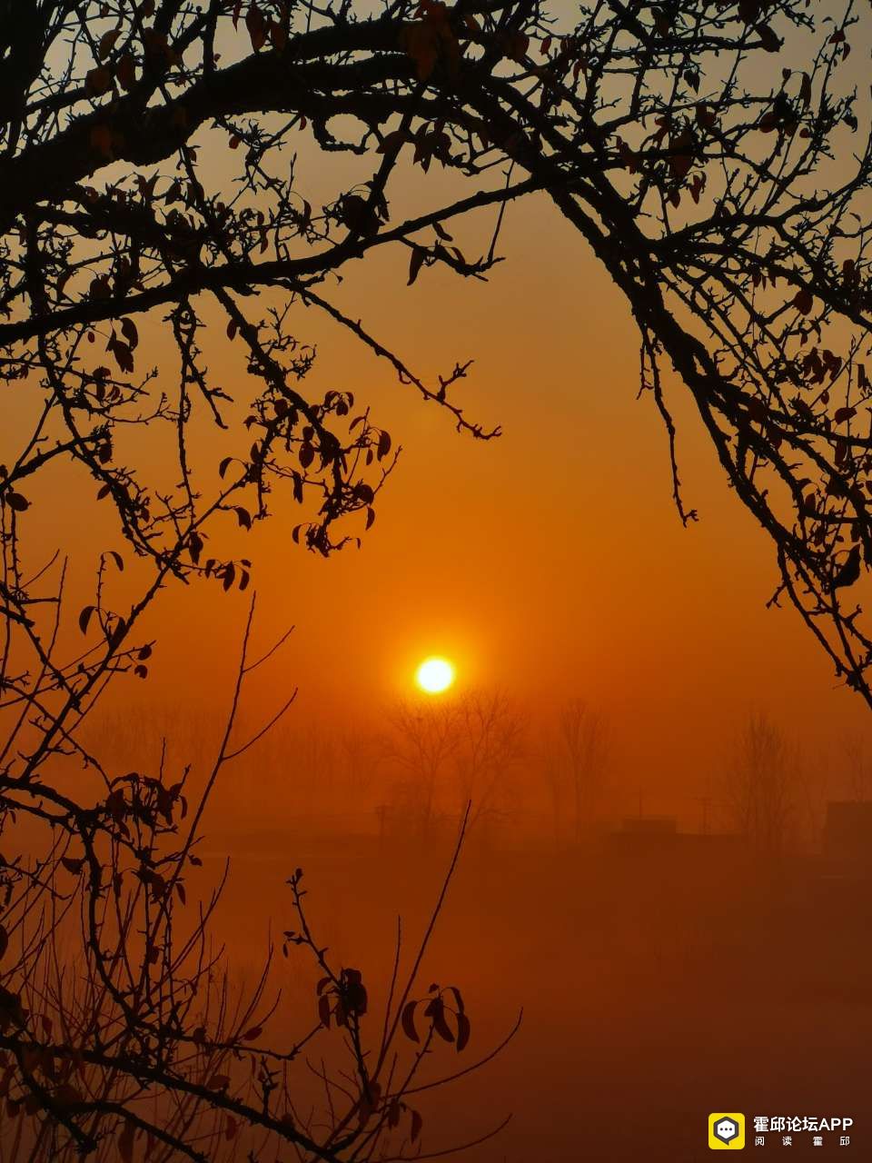 20211227195916front2_0_198706_Foq6mVzIBHwq95NWiHIKIRMsNToQ.jpg