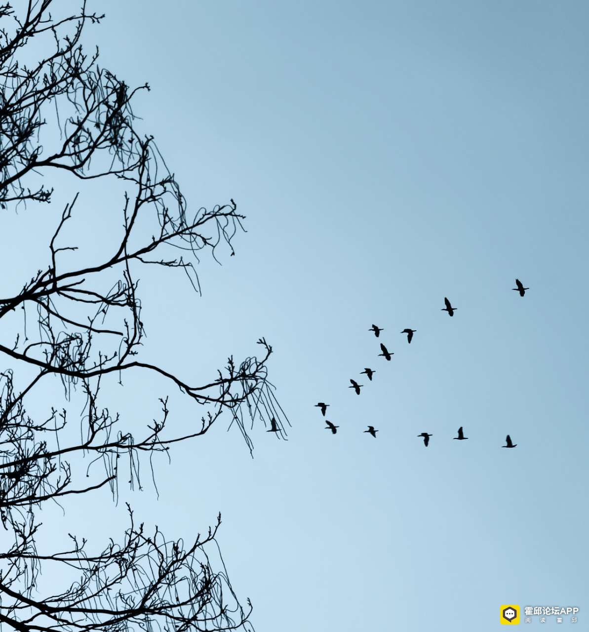20220128120701front2_0_198706_FqD0u0bLhxyp0AhYoqJEZsS1ogc_.jpg