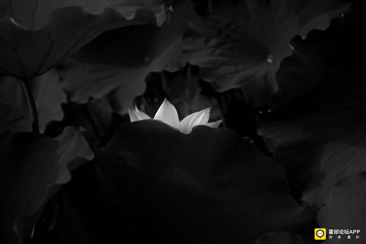 20220303074850front2_0_198706_FimnJv9p2uBdmcIcFbeOiPe_351b.jpg
