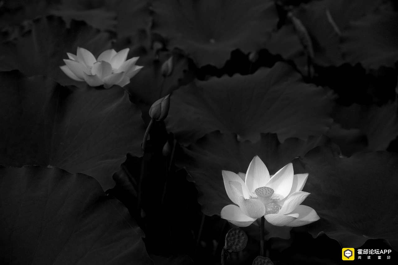 20220303074850front2_0_198706_FsQL_TDXVPpU00pE54Oiq5SAm-bw.jpg