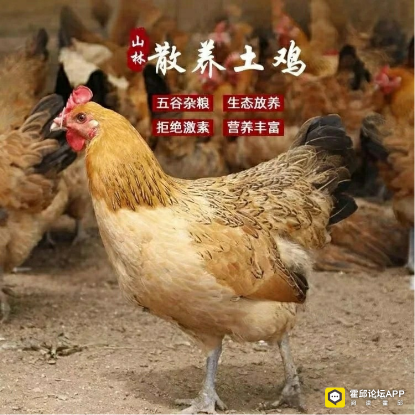 ΢��ͼƬ_20250813084548.png