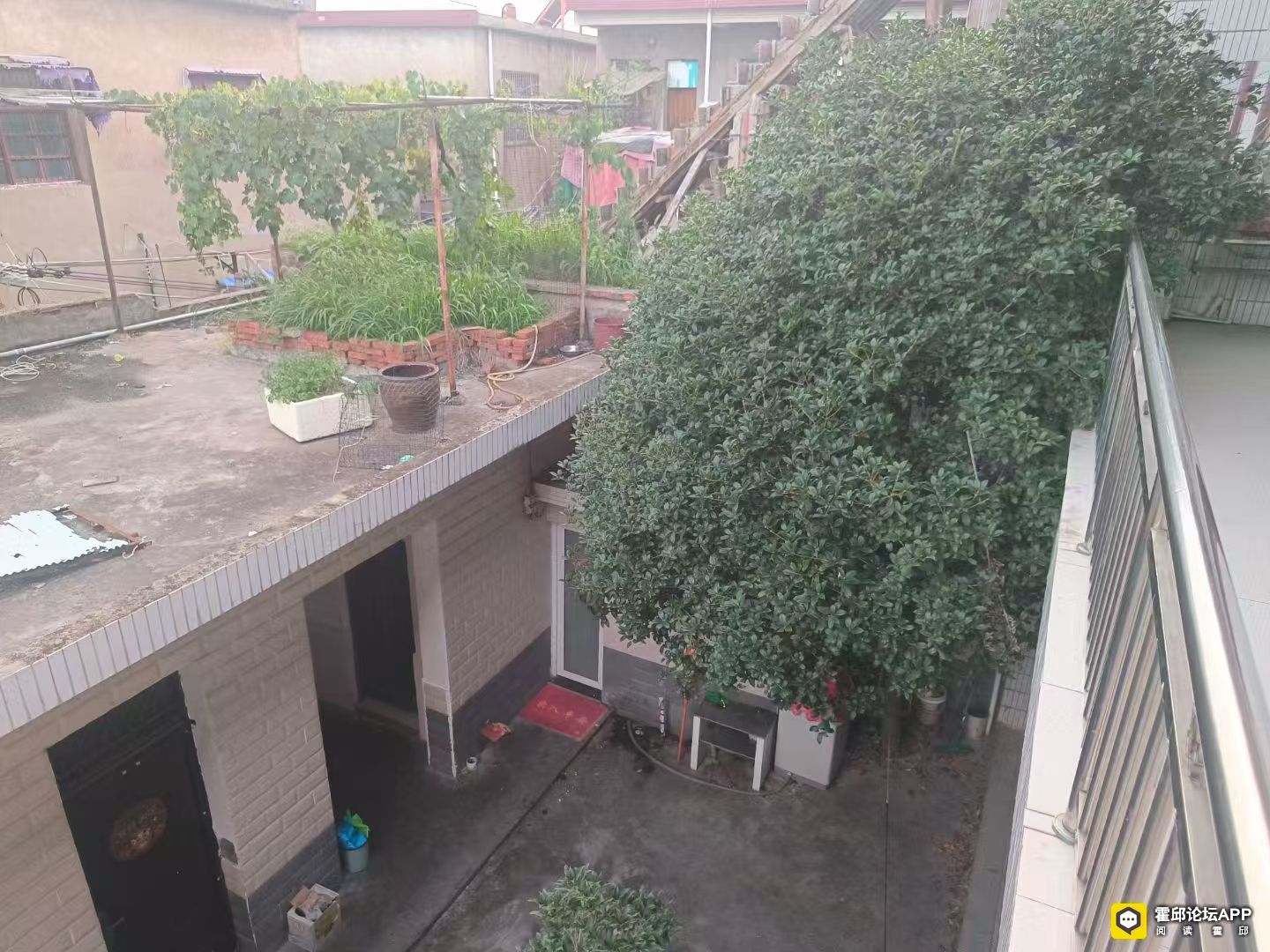 150809v10aphddr0td58id.jpg