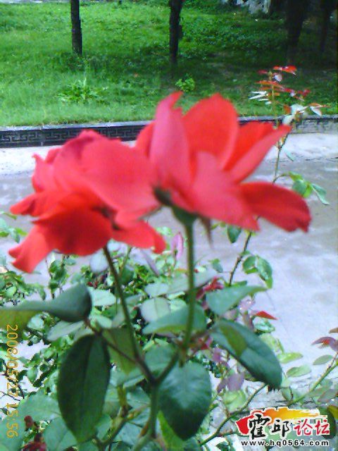 IMAGE_00081.jpg