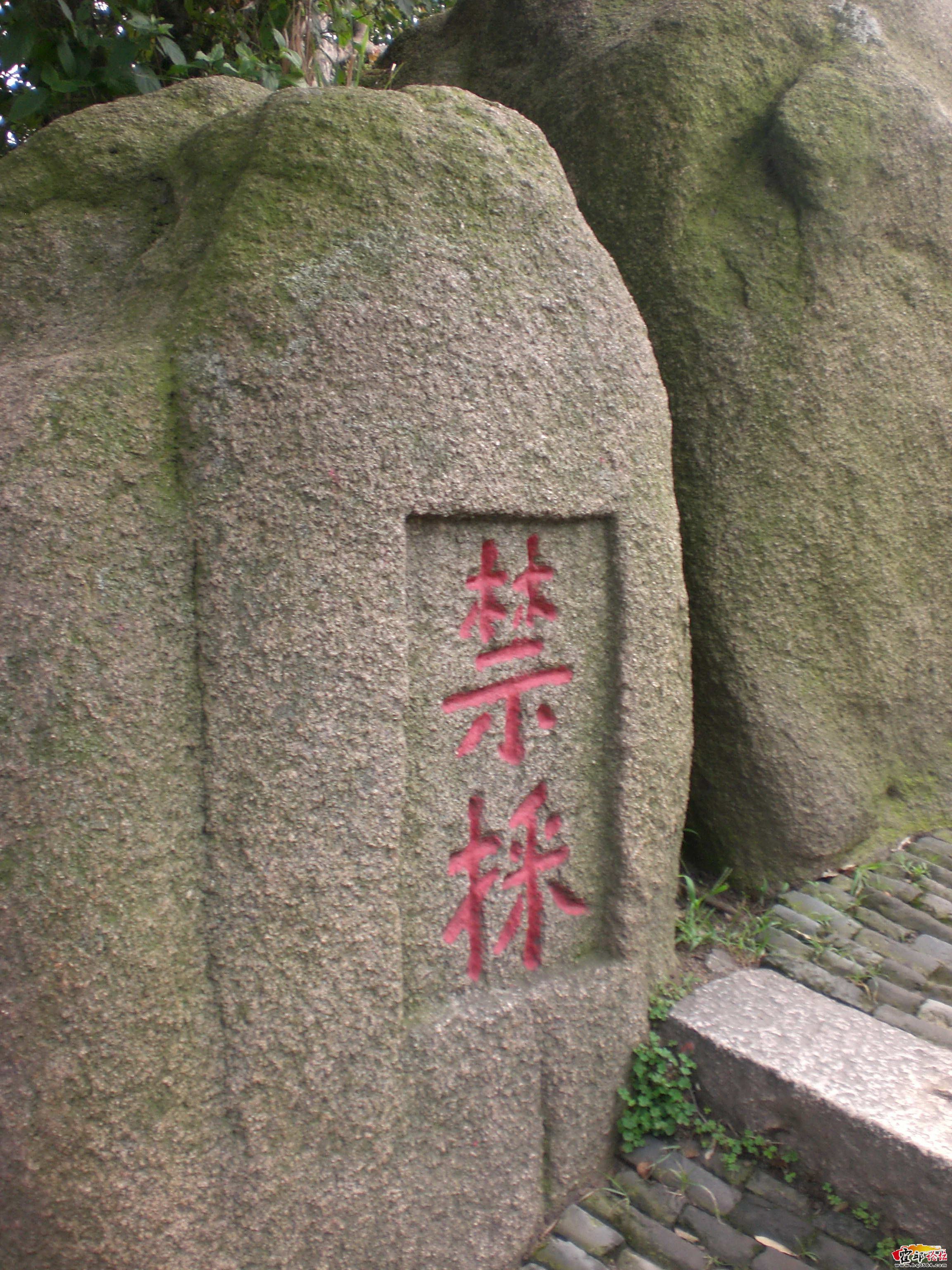 CIMG1788.jpg
