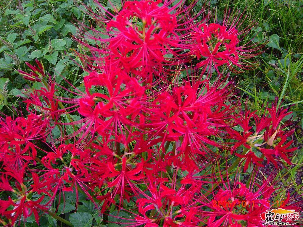 ruibuo1003_1160039499900926.jpg