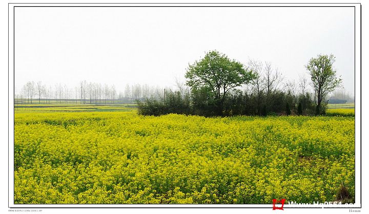 13.JPG