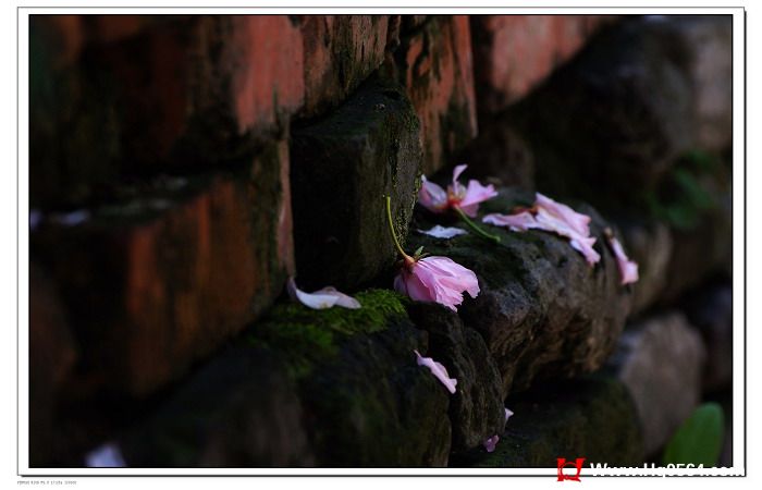 IMGP9411.JPG